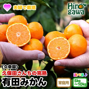 yӂ邳Ɣ[Łz n Lc ݂ 󂠂 vK / B݂ Lc݂ Â ƒp a̎R k 5kg 10kg 10000~ 11`12 //mandarin