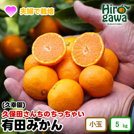 【ふるさと納税】 ちっちゃい 有田 みかん 久幸園 / 温州みかん 有田みかん 甘い 小玉 和歌山 柑橘 5kg ※11月下旬〜12月下旬に順次発送 //mandarin