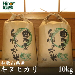 yӂ邳Ɣ[Łz  LkqJ 5kg ×2 v 10kg (2025NY) a̎R Y /  ͂  P Pꌴ  ߘa7NY // vegi