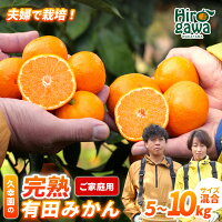 【ふるさと納税】 完熟 有田 みかん 訳あり 久幸園 / 温州みかん 有田...