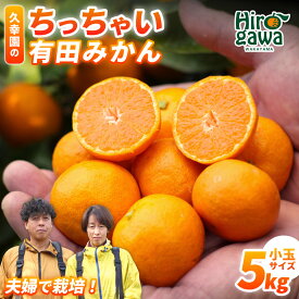 【ふるさと納税】 ちっちゃい 有田 みかん 久幸園 / 温州みかん 有田みかん 甘い 小玉 和歌山 柑橘 5kg ※2026年11月下旬〜2027年1月下旬に順次発送 //mandarin