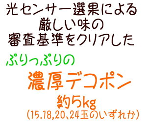 アイテムID:667928の画像2枚目