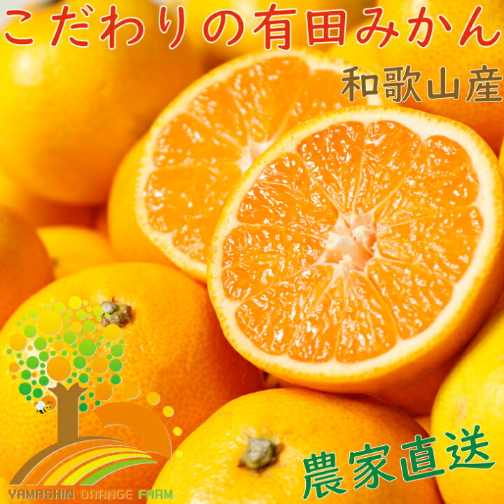 楽天市場 ふるさと納税 7kg 2箱 こだわりの有田みかん合計14kg 発送時期指定ok 旬のみかん農家直送 有機質肥料100 和歌山県広川町 楽天市場 ふるさと納税 7kg 2箱 こだわりの有田みかん合計14kg 発送時期指定ok 旬のみかん農家直送 有機質肥料100 和歌山県広川町