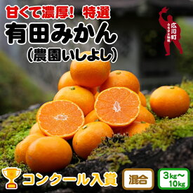 【ふるさと納税】 特選有田みかん 【創業120年農家直送】※2024年11月より順次発送予定 / みかん 柑橘 蜜柑 くだもの 果物 果実 フルーツ 和歌山 有田 10000円 //mandarin