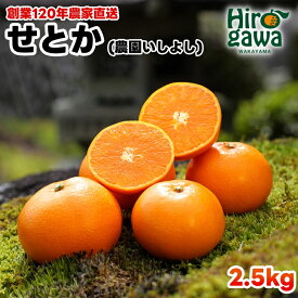 【ふるさと納税】 せとか 2.5kg サイズ混合 お試し用 10000円 【 創業120年 農家直送 】 ※2027年3月中旬から4月上旬に順次発送予定 / 春 みかん 柑橘 くだもの 果物 果実 フルーツ 王様 晩柑 プレミアム 最高峰 //dekopon