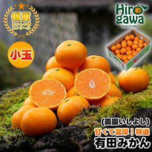 yӂ邳Ɣ[Łz Lc ݂  5kg y n120N _ƒ z / B݂ Lc݂ Â  a̎R k 12000~ 11{`1{ɏ //mandarin