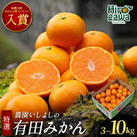 【ふるさと納税】 有田みかん 特選 【 創業120年 農家直送 】 / 温...