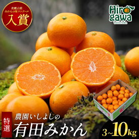 【ふるさと納税】 有田みかん 特選 【 創業120年 農家直送 】 / 温州みかん 有田 みかん 甘い 高級 和歌山 柑橘 3kg 5kg 10kg 9000円 ※11月中旬～2月上旬に順次発送 //mandarin