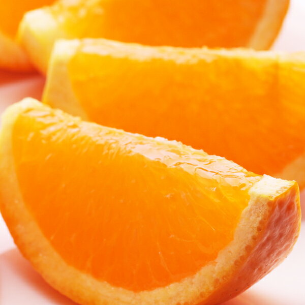 とろけるような食感の清見オレンジ 農家直送でお届けします 2021高い素材 ふるさと納税 最大99％オフ 樹上完熟清見オレンジ6kg 3月発送