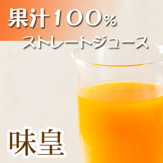 正規品保証 【ふるさと納税】有田みかん果汁100%ジュース 「味皇