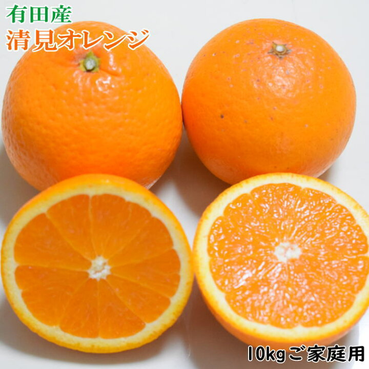 市場 ふるさと納税 厳選きよみオレンジ3kg 90g 光センサー選果 2月より発送