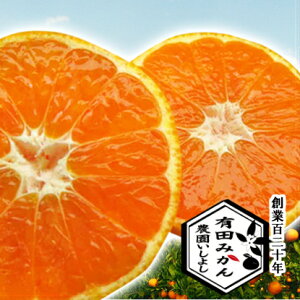 【楽天市場】【ふるさと納税】特選 有田みかん 【創業120年農家直送】 5kg （お届け時期選択OK） その日の気分にあわせて小さいみかん、大きいみかんと選べて楽しい！サイズ混合※北海道・沖縄・離島への配送不可：和歌山県広川町