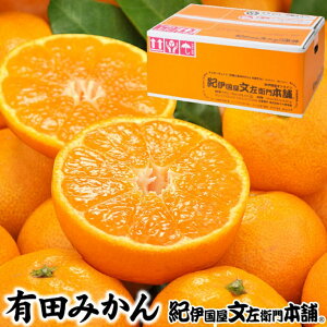 yӂ邳Ɣ[Łz  Â  Lc ݂ ԏG / B݂   k ʕ t[c a̎R Lc 10kg IׂTCY 11`N1\i͂ws) //mandarin
