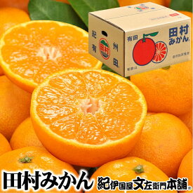 【ふるさと納税】 田村 みかん 赤秀 秀品 サイズ おまかせ 大玉 小玉 特選 ギフト / 紀州 和歌山 湯浅町 紀伊国屋文左衛門本舗 柑橘 果物 ※2026年11月下旬〜2027年1月下旬頃発送予定 //mandarin