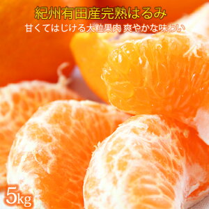 yӂ邳Ɣ[Łz ʓՂՂIn ͂ 5kg / ݂ Â a̎R k 2026N2{`{\ ւ̔zs //dekopon