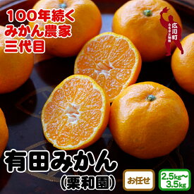 【ふるさと納税】和歌山県産 有田みかん (2S.S.M.Lサイズのいずれか)※2024年11月上旬頃～12月下旬頃に順次発送予定 / みかん ミカン 蜜柑 柑橘 果物 フルーツ 国産 和歌山県広川町 //mandarin