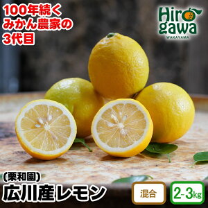 yӂ邳Ɣ[Łz  Y / a̎R k 2kg 3kg 7000~ 2{`3{ɏ //lemon