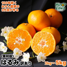 【ふるさと納税】 はるみ 家庭用 / 訳あり 甘い 和歌山 柑橘 2kg 5kg 7000円 ※2027年2月中旬〜3月下旬に順次発送 //dekopon