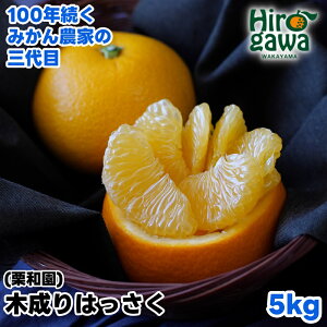 yӂ邳Ɣ[Łz ؐ ͂ 5kg TCY /  n Â a̎R k 10000~ 3{`4{ɏ //hassaku