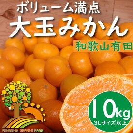 【ふるさと納税】＼光センサー選別／【有機質肥料100％】【家庭用】数量限定 こだわりの 有田みかん 10kg (3Lサイズ以上) 旬 ミカン 蜜柑 柑橘類 果物 フルーツ※2024年12月初旬～1月中旬に順次発送(お届け日指定不可)　※北海道・沖縄・離島への配送不可 //mandarin