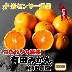 【ふるさと納税】＼光センサー選別／農家直送 【2024年11月～1月発送】【家庭用】こだわりの有田みかん（日付指定不可） ※北海道・沖縄・離島への配送不可 / 有田みかん みかん ミカン 蜜柑 柑橘 果物 フルーツ 甘い 温州みかん //mandarin