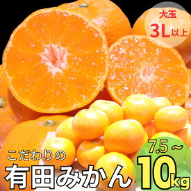 【ふるさと納税】 こだわりの 有田みかん 7.5kg 10kg (3Lサイズ以上) 8000円 10000円 家庭用 光センサー選別 有機質肥料100％ ※2024年12月初旬～1月中旬に順次発送 ※北海道・沖縄・離島への配送不可 / 温州みかん みかん 柑橘 果物 フルーツ //mandarin