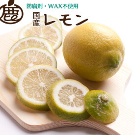 【ふるさと納税】 黒潮 レモン / 国産レモン 和歌山 有田 柑橘 防腐剤・WAX不使用 5000円 ※9月上旬〜翌年6月中旬に順次発送 ※北海道・沖縄・離島への配送不可 //lemon