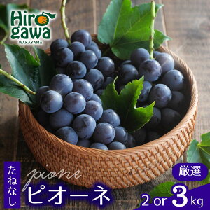 yӂ邳Ɣ[Łz sI[l ˂Ȃ I / Ԃǂ 햳 Â  a̎R 2kg 3kg 2026N8{`2026N9{ɏ kCEEւ̔zs //hokaf
