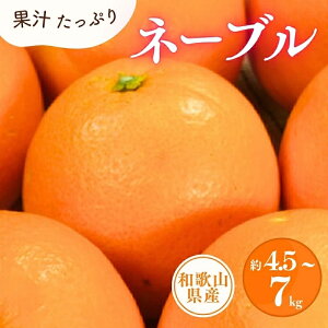 【ふるさと納税】 ネーブル 4.5kg 7kg (サイズおまかせ) / みかん 甘い 柑橘 湯浅町 田村産 ※1月中旬〜2月中旬頃に順次発送予定(お届け指定日不可) //dekopon
