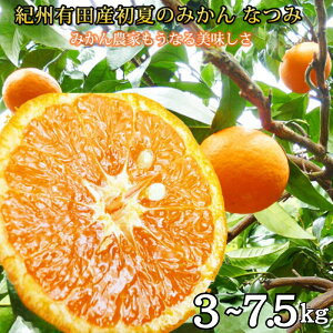 yӂ邳Ɣ[Łz Ă݂̂ Ȃ / ݂ Â a̎R k 4{`4{ɏ\ 3kg 5kg zs //hassaku