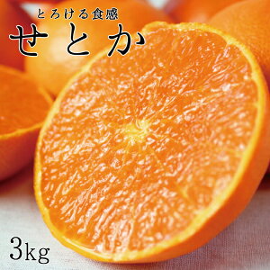 yӂ邳Ɣ[Łz Ƃ낯H W[V[k Ƃ 3kg / ݂Â  a̎R k 2026N2{`3{\ zs //dekopon