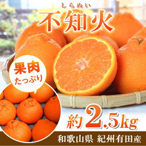 yӂ邳Ɣ[Łz IB LcY sm (ʂ) 2.5kg / fR| oi Â a̎R k 2{`3{ɏ\ ւ̔zs //dekopon