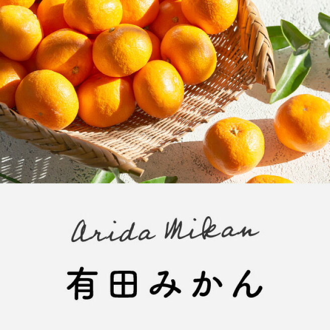 一番の贈り物 ふるさと納税 和歌山・有田のはっさくの薪!40Kgバイオマスエネルギーで火を楽しもう!あなたもこれでSDGsに貢献! 和歌山県有田川町 通販 ふるさと納税 ZE6167_和歌山県産 有田の 八朔 (はっさく) 6kg(S〜4Lサイズ混合) 和歌山県湯浅町