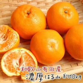 【ふるさと納税】和歌山 有田の 濃厚 はるみ 約10kg（S又はMサイズ）［先行予約］［MS84w］