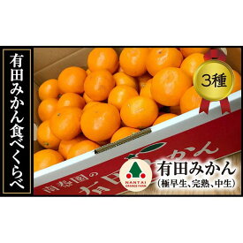 【ふるさと納税】定期便 有田みかん 食べくらべ 3種 特秀 各 5kg コース 全3回　南泰園