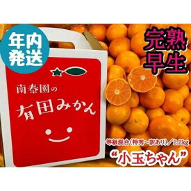 【ふるさと納税】年内発送 完熟早生 有田みかん 小玉ちゃん 等級混合 2.2 kg 和歌山 南泰園 みかん | 南泰園 小粒 柑橘 果物 早生 人気 おすすめ 柑橘類 フルーツ 和歌山県産 贈答用 家庭用 ふるさと納税