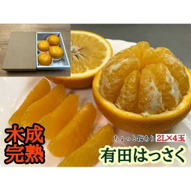 【ふるさと納税】ちょっと 傷あり 4月 まで 木成 完熟 させた 有田 はっさく 大玉 2L × 4玉 茶小箱 南泰園 みかん