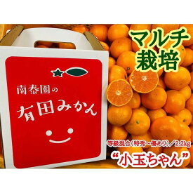 【ふるさと納税】マルチ栽培 有田 みかん 小玉ちゃん 等級混合 2.2kg 南泰園 | フルーツ 果物 くだもの 食品 人気 おすすめ 送料無料