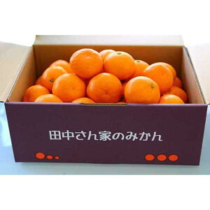 【ふるさと納税】こだわり手詰め 有田みかんLサイズ(4.7kg)