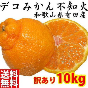 yӂ邳Ɣ[Łzsm(ʂ) IW ݂ ƒp 10kg