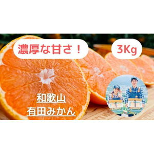 yӂ邳Ɣ[Łzy_ƒzZȊÂ݂̑3kg/yI݂ẑ݂݂_