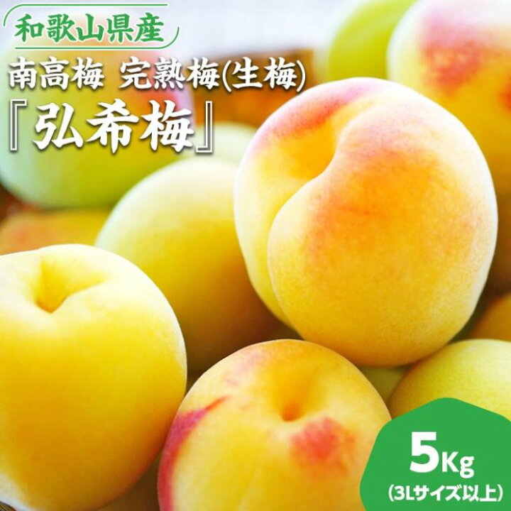 楽天市場】【ふるさと納税】手もぎ完熟南高梅 5Kg 秀品 大つぶ3L以上 