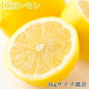 yӂ邳Ɣ[ŁzyYza̎RY3kgiTCYj2026N3{菇yTM150wz