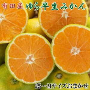 yӂ邳Ɣ[Łzyɑ݂̈izLcY瑁݂5kg2025N10{菇
