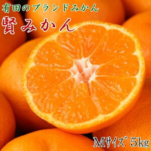 yӂ邳Ɣ[Łz [Gi]Lc̃uhu݂v5kg(MTCY) y2025N11{菇z | s\ a̎R ʕ  t[c k  uh  n Ԍ 