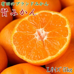 yӂ邳Ɣ[Łz [Gi]Lc̃uhu݂v5kg(LTCY) y2025N11{菇z | ݂  a̎R k Lc쒬 k t[c ʕ Gi LTCY 5kg Lc ӂ邳