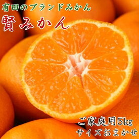 【ふるさと納税】有田のブランド「賢みかん」5kg(S～Lサイズおまかせ）ご家庭用【2024年11月中旬頃より順次発送】 | 先行予約 和歌山 果物 くだもの フルーツ 柑橘 蜜柑 ブランド 取り寄せ ご当地 期間限定 【2023年11月中旬頃より順次発送】