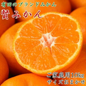 yӂ邳Ɣ[ŁzLc̃uhu݂v10kg(S`LTCY܂jƒpy2025N11{菇z