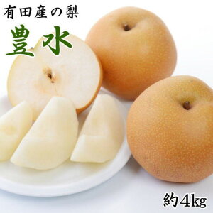 yӂ邳Ɣ[Łz[IEY]LcY̗(L)4kg2025N8{菇 | s\ ʕ  t[c Ȃ lC    O Ԍ ʌ Y