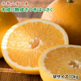 【ふるさと納税】こだわりの和歌山有田産木成り熟成さつき八朔10kg(Mサイズ) ★2025年4月より順次発送